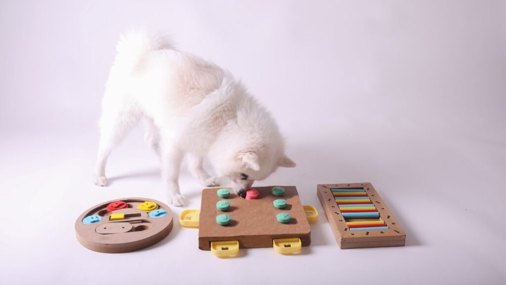 Interactive Games for Dogs